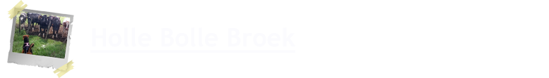 Holle Bolle Broek